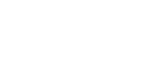 Ni&Ce Vine Yard